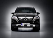 Mercedes-Benz ML 420 CDI